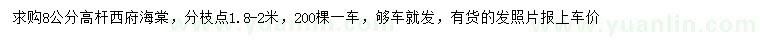 求購(gòu)8公分高桿西府海棠