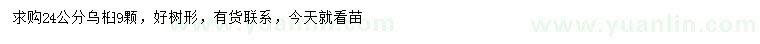 求購24公分烏桕