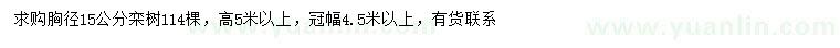 求購(gòu)胸徑15公分欒樹(shù)