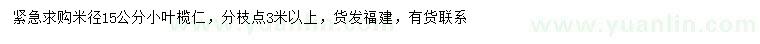 求購(gòu)米徑15公分小葉欖仁