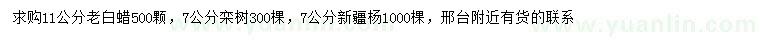 求購老白蠟、欒樹、新疆楊