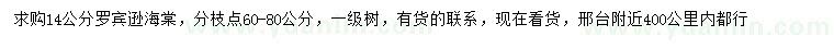 求購14公分羅賓遜海棠