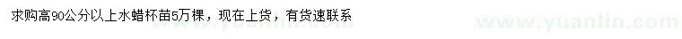 求購(gòu)高90公分以上水蠟