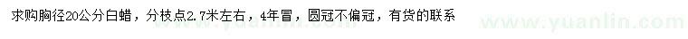 求購(gòu)胸徑20公分白蠟
