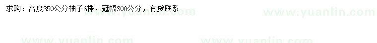 求購高350公分柚子