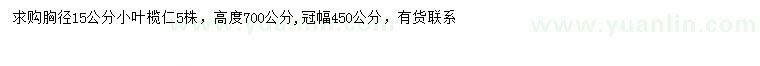 求購胸徑15公分小葉欖仁