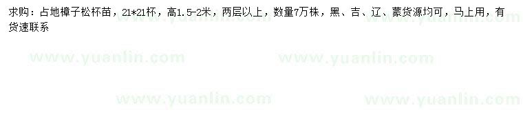 求購高1.5-2米占地樟子松