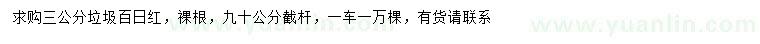 求購(gòu)3公分百日紅