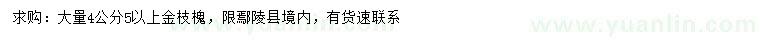 求購4.5公分以上金枝槐