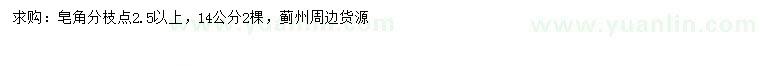 求購14公分皂角
