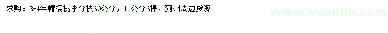 求購11公分櫻桃李