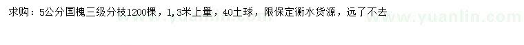 求購5公分國槐