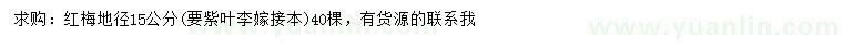 求購(gòu)地徑15公分紅梅