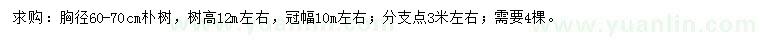 求購(gòu)胸徑60-70公分樸樹(shù)