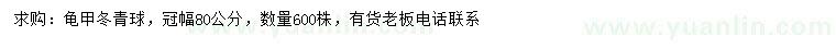 求購(gòu)冠幅80公分龜甲冬青球