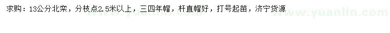 求購13公分北欒