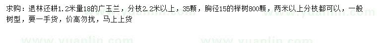 求購1.2米廣玉蘭