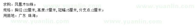 求購胸徑22公分鳳凰木