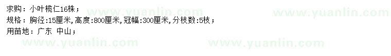 求購(gòu)胸徑15公分小葉欖仁