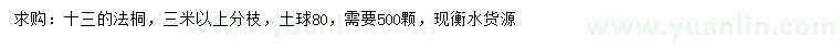 求購13公分法桐