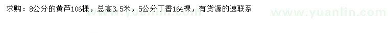 求購(gòu)8公分黃蘆、5公分丁香