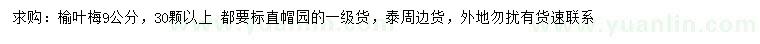 求購9公分榆葉梅