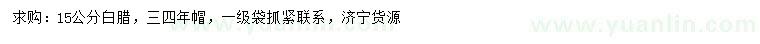 求購15公分白臘