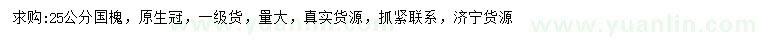 求購25公分國槐
