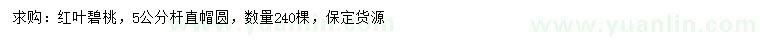 求購5公分紅葉碧桃