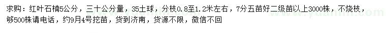 求購5公分紅葉石楠