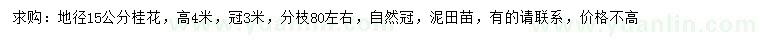 求購地徑15公分桂花