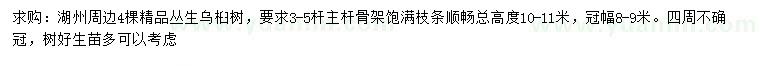 求購冠幅8-9米叢生烏桕