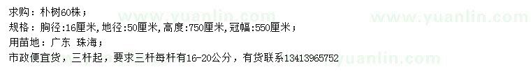 求購胸徑16公分樸樹