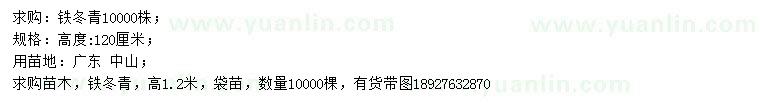 求購高120公分鐵冬青