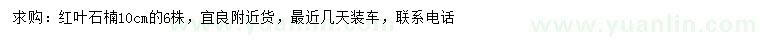 求購10公分紅葉石楠