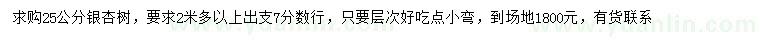 求購(gòu)25公分銀杏樹(shù)