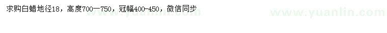 求購地徑18公分白蠟