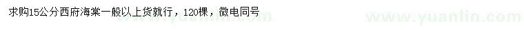求購15公分西府海棠