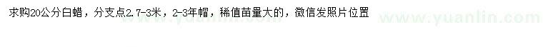 求購(gòu)20公分白蠟