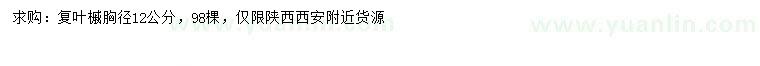 求購12公分復(fù)葉槭