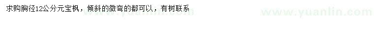 求購胸徑12公分元寶楓
