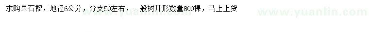 求購地徑6公分果石榴