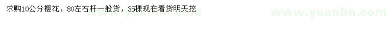 求購10公分櫻花