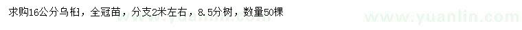 求購16公分烏桕