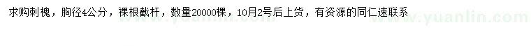 求購胸徑4公分刺槐