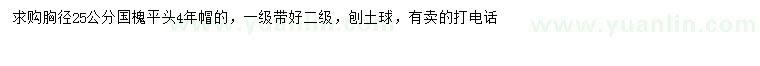 求購胸徑25公分國槐