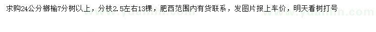 求購24公分榔榆
