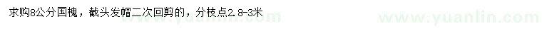求購8公分國槐