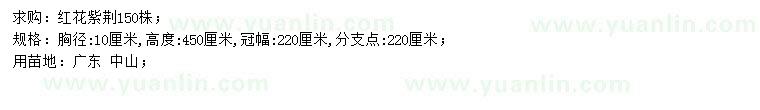 求購胸徑10公分紅花紫荊