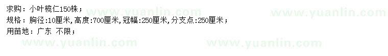 求購胸徑10公分小葉欖仁